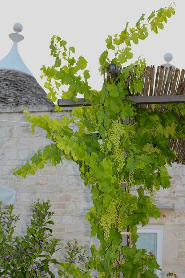 Tenuta Montanaro Locorotondo Eksteriør bilde